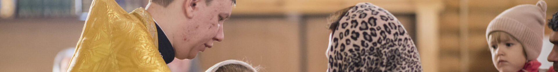 Божественная литургия 8 ноября 2025