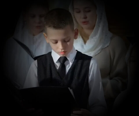 «В ночном саду»